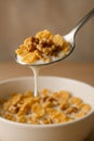 Spoonful of Cereal with Milk and Walnuts AI-GENERATED Royalty Free Stock Photo