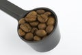 Spoonful Coffee Bean