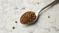 Spoonful of Coffee: Roasted Beans on Marble Surface, Close-Up Still Life Royalty Free Stock Photo