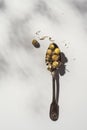 Spoonful of dried chamomile flowers on white background