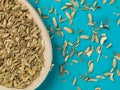 Spoonful of Dried Fennel Seed Cooking Spice