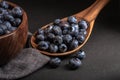 Spoonful of Fresh Blueberries Royalty Free Stock Photo