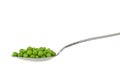 A spoonful of fresh green peas