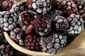 Spoonful of Frozen Blackberries Royalty Free Stock Photo