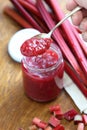 Spoonful of homemade rhubarb jam