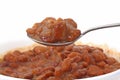 Spoonful of Pinto Beans