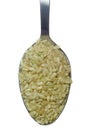 Spoonful of short grain rice
