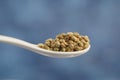 Spoonful of tiny green seeds against a blue background Royalty Free Stock Photo