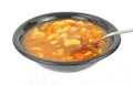 Spoonful of Vegetable Soup