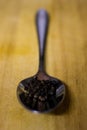 Spoonfull of peppercorns Royalty Free Stock Photo