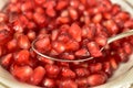 Spoonfull of pomegranate