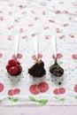 Spoonfuls of cherries,chocolate cake and chocolate