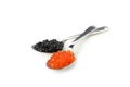 Spoons with black and red caviar isolated on white background Royalty Free Stock Photo