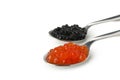 Spoons with black and red caviar isolated on white background Royalty Free Stock Photo