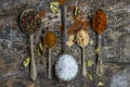 Spoons with colorful spices - closeup Royalty Free Stock Photo