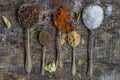 Spoons with colorful spices - closeup Royalty Free Stock Photo