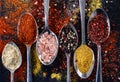 Spoons with various colorful indian spices in row on black table background Royalty Free Stock Photo