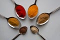 Spoons with various ground spices Royalty Free Stock Photo