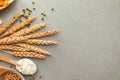 Spoons with wheat flour, grains and spikelets on grey background