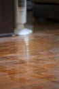 A spoor on muddy dust wooden floor in the house