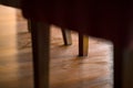 A spoor on muddy dust wooden floor under the table in the house