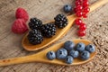 Spoos with berries Royalty Free Stock Photo