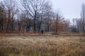 Sport and active healthy life concept. Riding on bike on sunny day among many trees. Cyclist in protective late fall forest