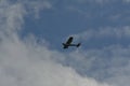 Sport Airplane in Sky passing by flight propeller aviation small