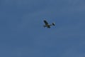 Sport Airplane in Sky passing by flight propeller aviation small