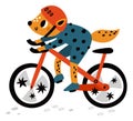 Sport animal. Cartoon athletes character. Cycle race. Fox riding bike. Bicycle kids competition. Isolated cycling forest