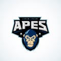 Sport Apes Abstract Vector Sign, Emblem or Logo Template. Classic Sport Team Mascot Label. Angry Gorilla Face with