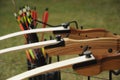 Sport archery