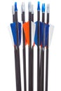Sport arrows with fletching and nocks Royalty Free Stock Photo