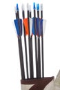 Sport arrows with fletching and nocks in quiver Royalty Free Stock Photo