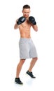 Sport attractive man wearing boxing gloves on the white