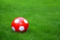 Sport ball over the grass Royalty Free Stock Photo