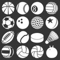 Sport balls icons set grey