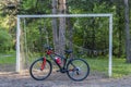 Sport bike in the spring forest near the football gate