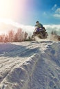 Sport blue snowmobile jump. Clear sunny winter day. Concept quick movement. Extreme sport background for any purposes.