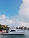 Sport boat for fishing marlin mored in cap Cana marina