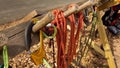 Climbing equipment attached to a wooden stand