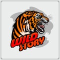 Sport club emblem with tiger.  Print design fot t-shirt. Royalty Free Stock Photo