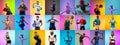 Sport collage of professional athletes on multicolored neoned background. Concept of motion, action, power, active Royalty Free Stock Photo