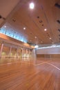 Sport court - indoor Royalty Free Stock Photo