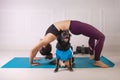 Sport with a dog. Attractive young woman working out on the blue fitness mat with her dog. Athletic woman doing exercise