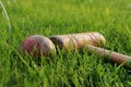 Sport equipments in green grass. Red ball, goal, cricket stick. Main sport in England Royalty Free Stock Photo