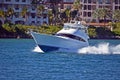 Sport Fishing Boat Speeding on Government Cut Royalty Free Stock Photo