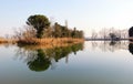 Sport fishing pond located in the park of the Po Delta Emilia Romagna Italy. City of Mesola province of Ferrara.