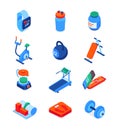 Sport and fitness - modern isometric icons set Royalty Free Stock Photo