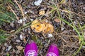 Sport Footwear on Female Feet on Green Grass. Royalty Free Stock Photo